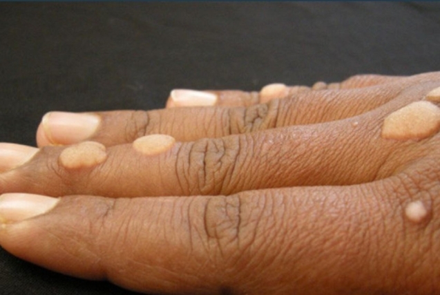 Screenshot_20250730_205542_Telegram